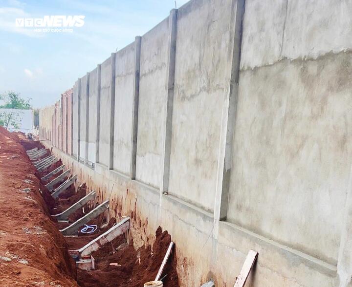 Bơ 160.000 đồng/kg vẫn &lsquo;ch&aacute;y h&agrave;ng&rsquo;, kh&aacute;ch muốn mua phải đặt trước cả th&aacute;ng - Ảnh 2.