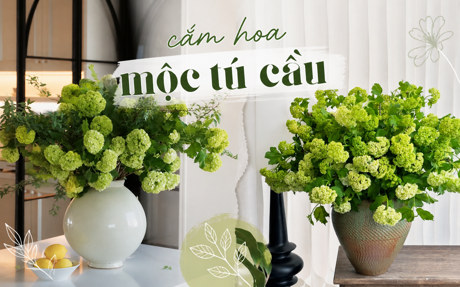 Mộc t&uacute; cầu - l&ograve;ai hoa kh&oacute; chiều đẹp như ngọc b&agrave;n đọng tuyết - Ảnh 1.