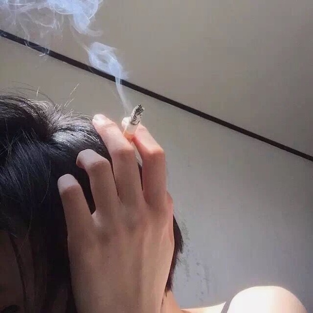  - Ảnh 2.