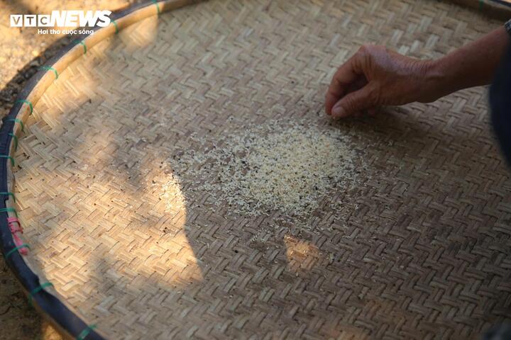 Săn trứng kiến trong rừng, kiếm tiền triệu mỗi ng&agrave;y - Ảnh 8.