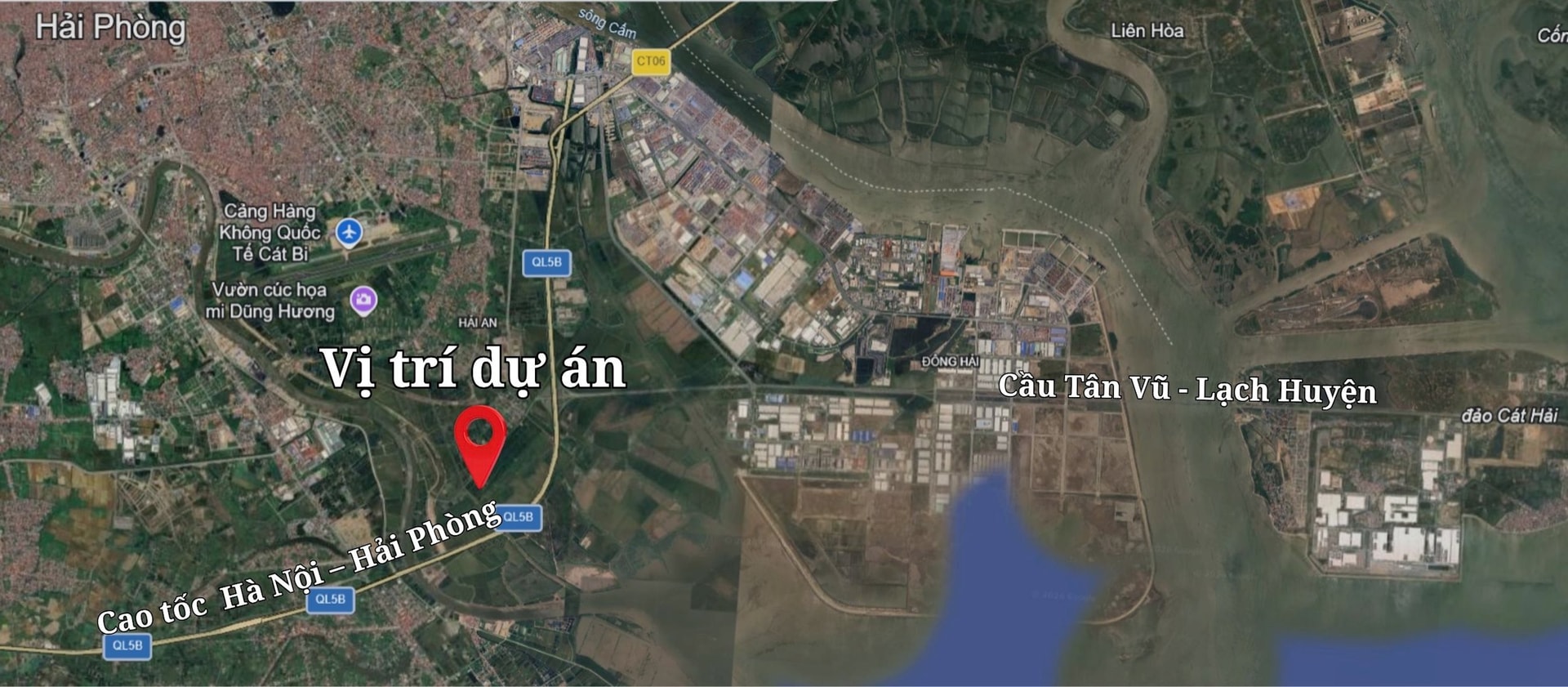  - Ảnh 4.
