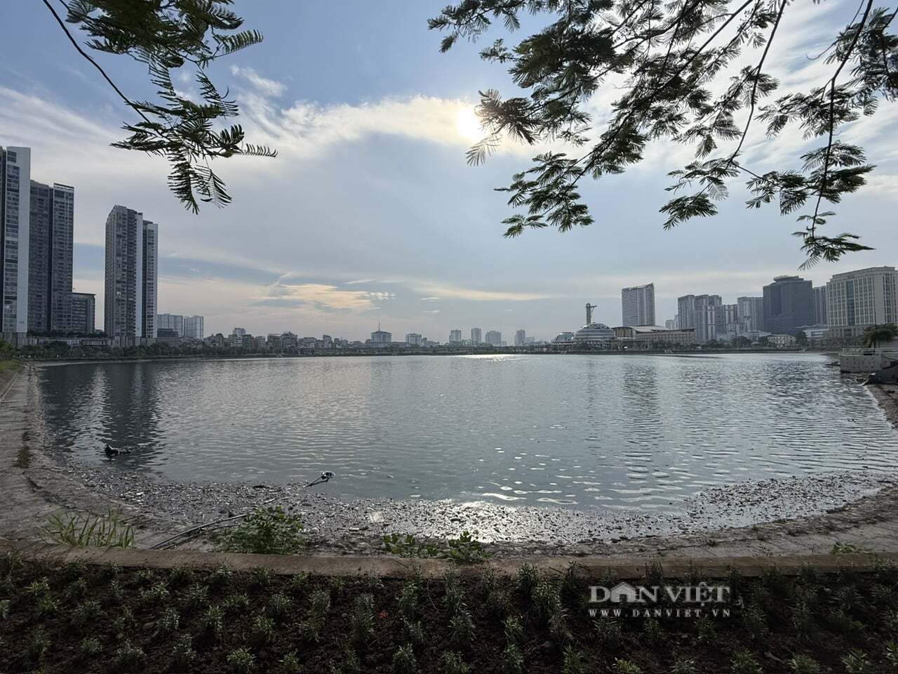 Cá chết nổi trắng hồ ở Hà Nội, bốc mùi nồng nặc, chính quyền nhận định nguyên nhân - Ảnh 3.