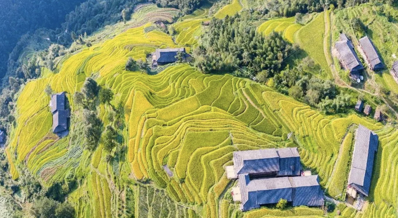 Thiên đường du lịch mới tại Trung Quốc với chính sách miễn visa cho Việt Nam - Ảnh 5. Thiên đường du lịch mới tại Trung Quốc với chính sách miễn visa cho Việt Nam - Ảnh 5.