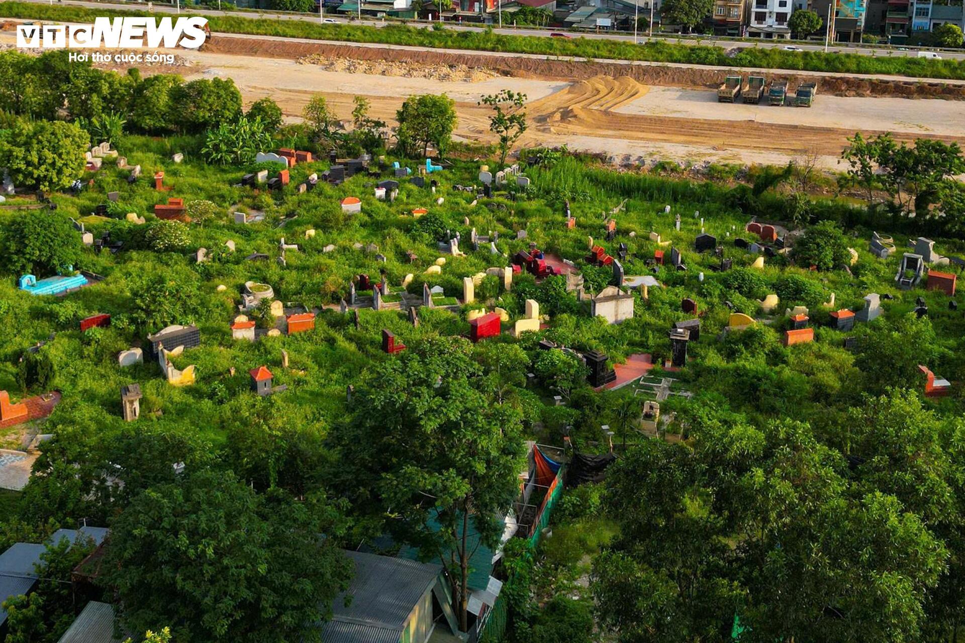 Công viên công cộng phường Phú Thượng: Dự án xanh 20ha ven sông Hồng năm 2026 - Ảnh 9.