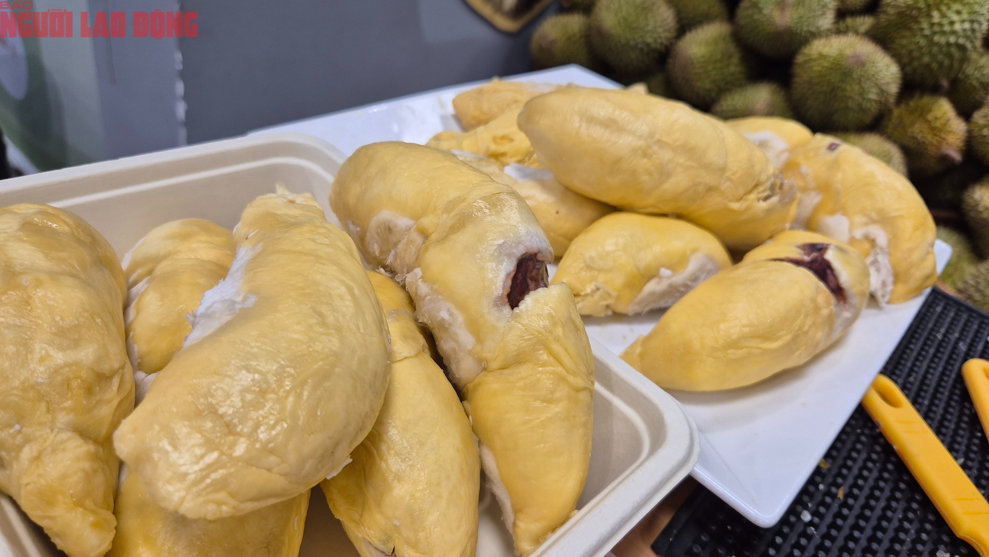 Đi ăn buffet sầu riêng: Khám phá thu nhập khủng từ thợ gõ sầu riêng 60 triệu / tháng - Ảnh 6. Đi ăn buffet sầu riêng: Khám phá thu nhập khủng từ thợ gõ sầu riêng 60 triệu / tháng - Ảnh 6.