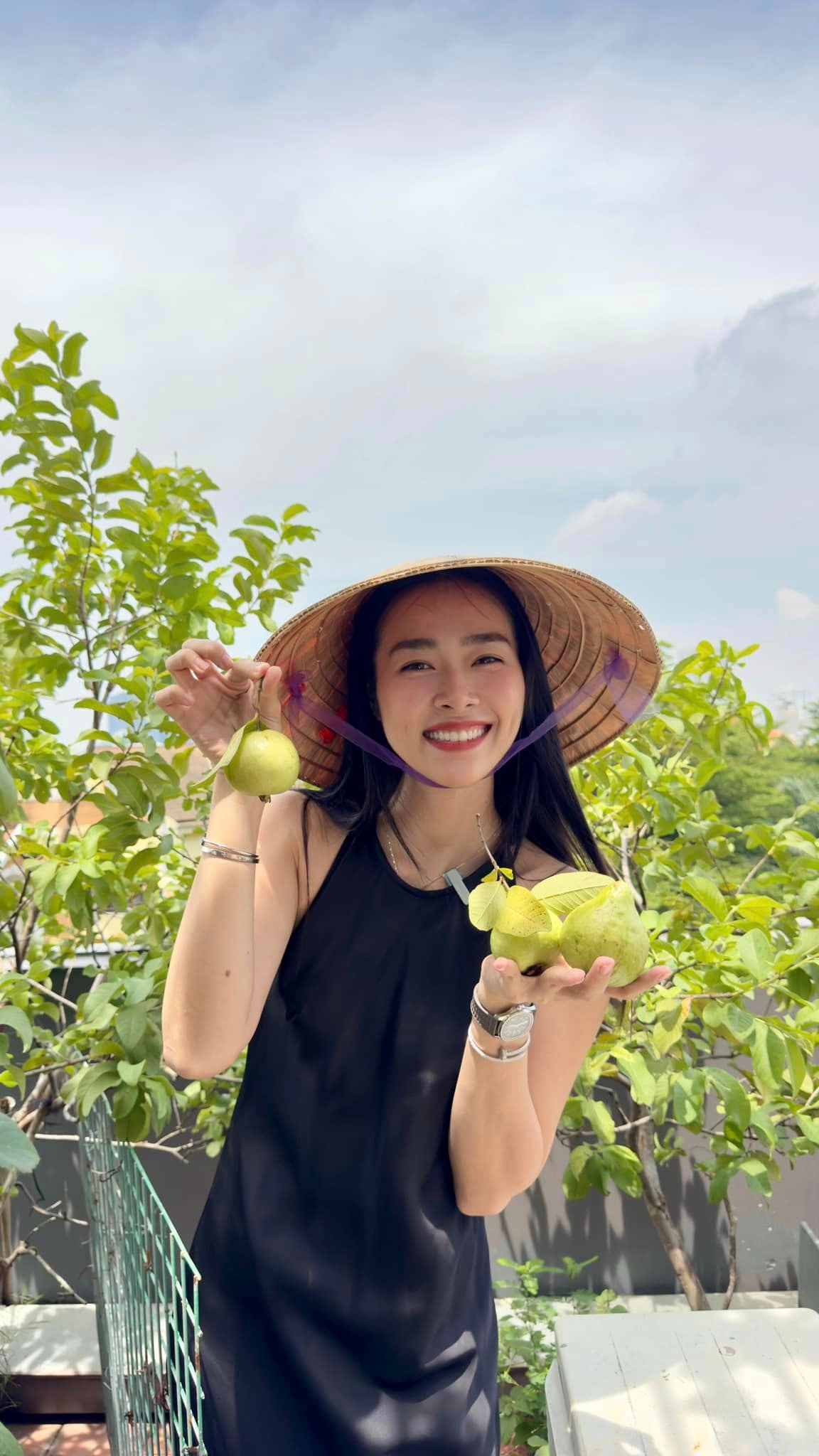 Mỹ ph&acirc;n Ph&iacute; Ph&ocirc;ng - Diệp Bảo Ngọc: L&agrave;m chủ 3 c&ocirc;ng ty, sống trong nh&agrave; phố 100m2, s&acirc;n thượng trồng g&igrave; m&agrave; l&uacute;c n&agrave;o cũng trĩu quả? - Ảnh 2.