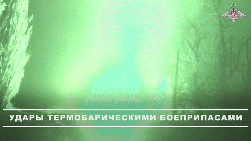  - Ảnh 3.