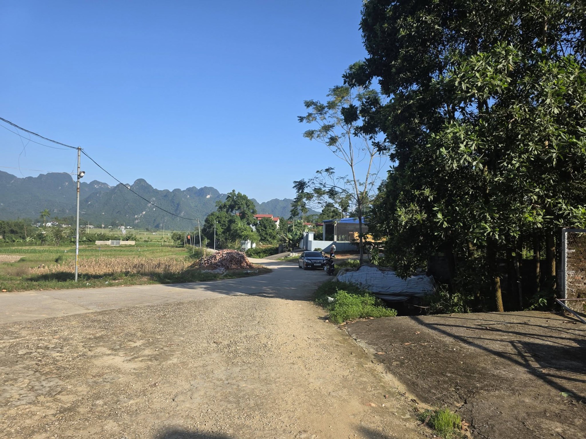  - Ảnh 3.