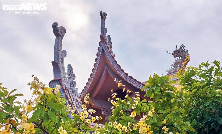 Kh&aacute;m ph&aacute; tượng Phật Lồi v&agrave; 12 d&ograve;ng cổ tự Chăm - Pa tại ch&ugrave;a Linh Sơn Gia Lai - Ảnh 7.