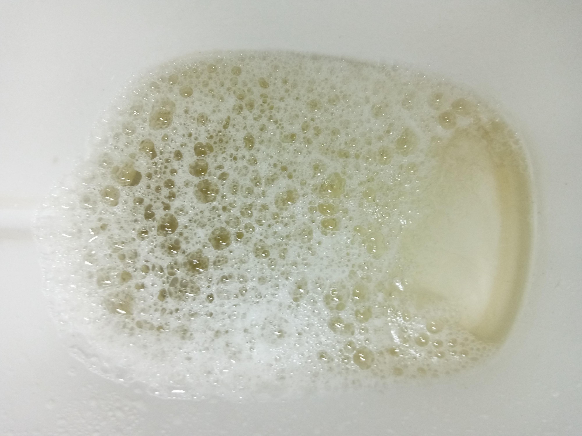  - Ảnh 1.