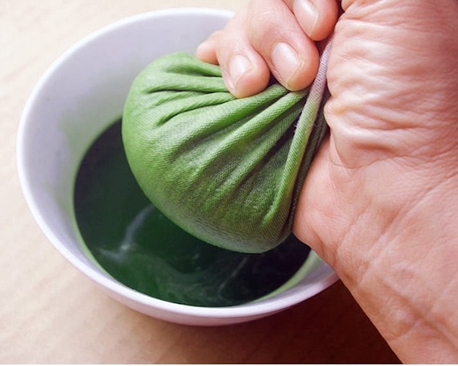 Lời khuyên trồng cây xương sông cho sức khỏe và sắc đẹp - Ảnh 4.
