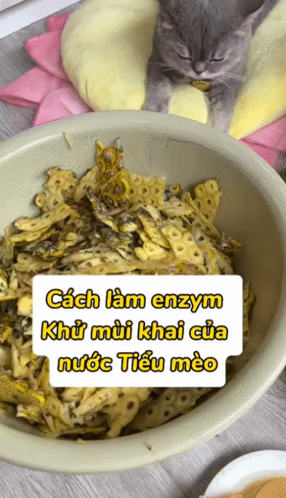 Từ bỏ lương cao để khởi nghiệp c&ugrave;ng Lượm Cat: H&agrave;nh tr&igrave;nh truyền cảm hứng cho mẹ bỉm 26 tuổi - Ảnh 7.