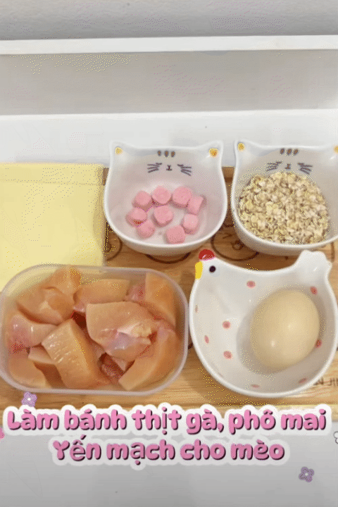 Từ bỏ lương cao để khởi nghiệp c&ugrave;ng Lượm Cat: H&agrave;nh tr&igrave;nh truyền cảm hứng cho mẹ bỉm 26 tuổi - Ảnh 13.