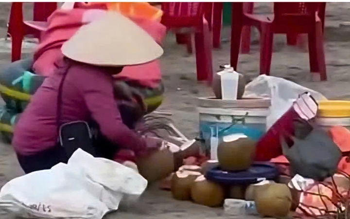 Cấm kinh doanh tại bãi biển Ninh Bình vì gom nước dừa thừa bán lại - Ảnh 1.
