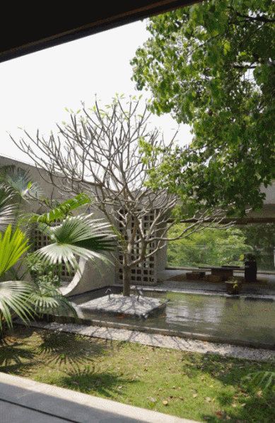Tôi chi 2 tỷ xây nhà 680m² cho bố mẹ ở quê và nhận ra: Tiền không đặt đúng chỗ thì càng để càng tốn- Ảnh 6.