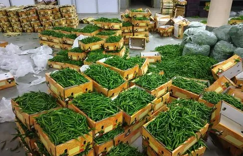Việt Nam đ&oacute;n tin vui từ ch&acirc;u &Aacute; - Ảnh 1.