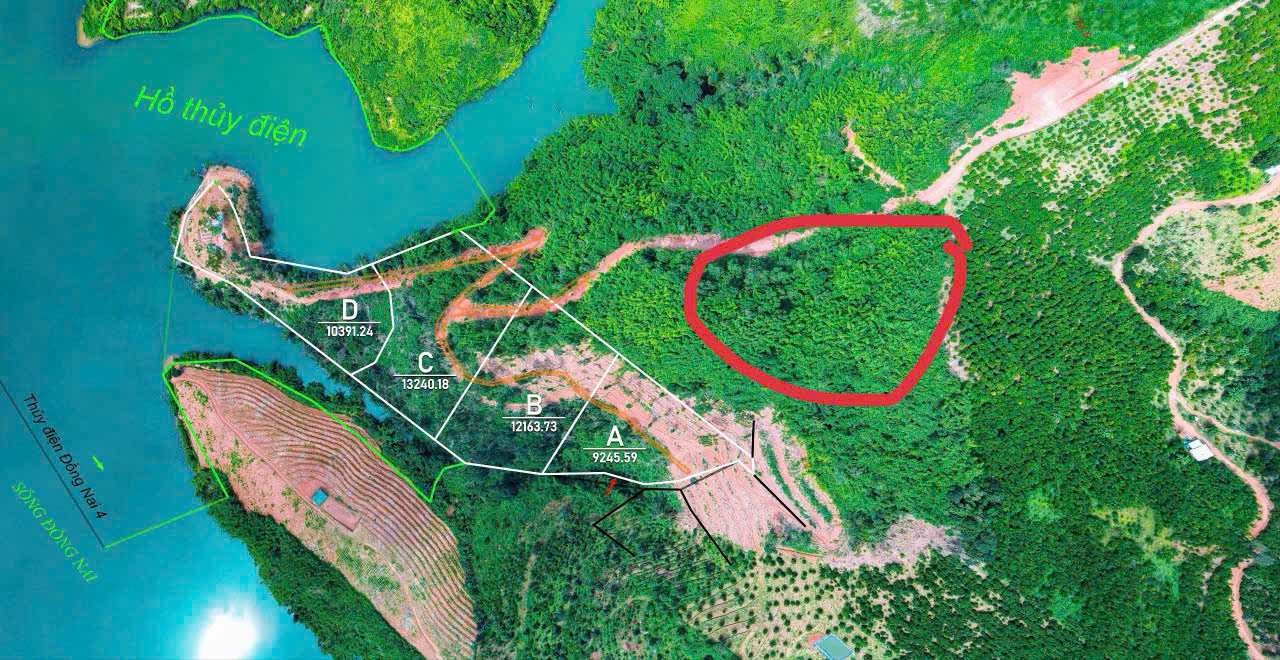 Gỡ n&uacute;t thắt sổ đỏ cho đất giấy tay giai đoạn 2014 - 2024 - Ảnh 3.
