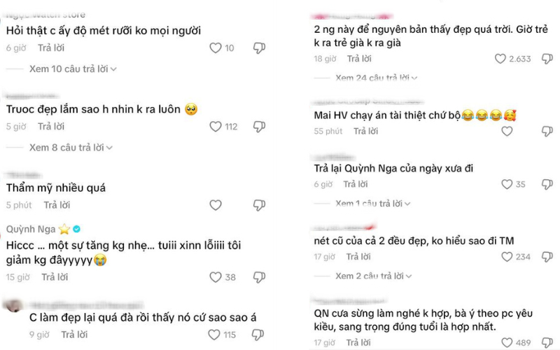 Kh&aacute;n giả hoang mang với Việt Anh v&agrave; Quỳnh Nga hiện tại- Ảnh 4.