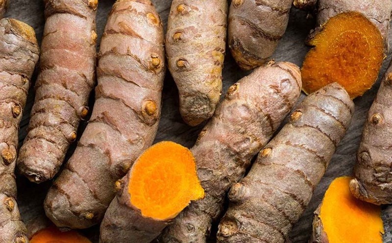 Lời khuy&ecirc;n d&agrave;nh cho những gia đ&igrave;nh đang trồng nghệ - Ảnh 1.