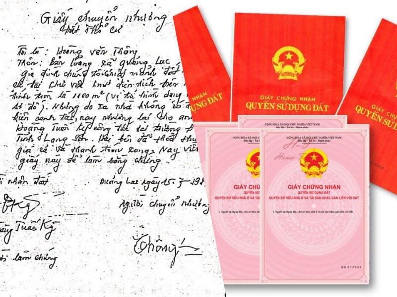  - Ảnh 1.