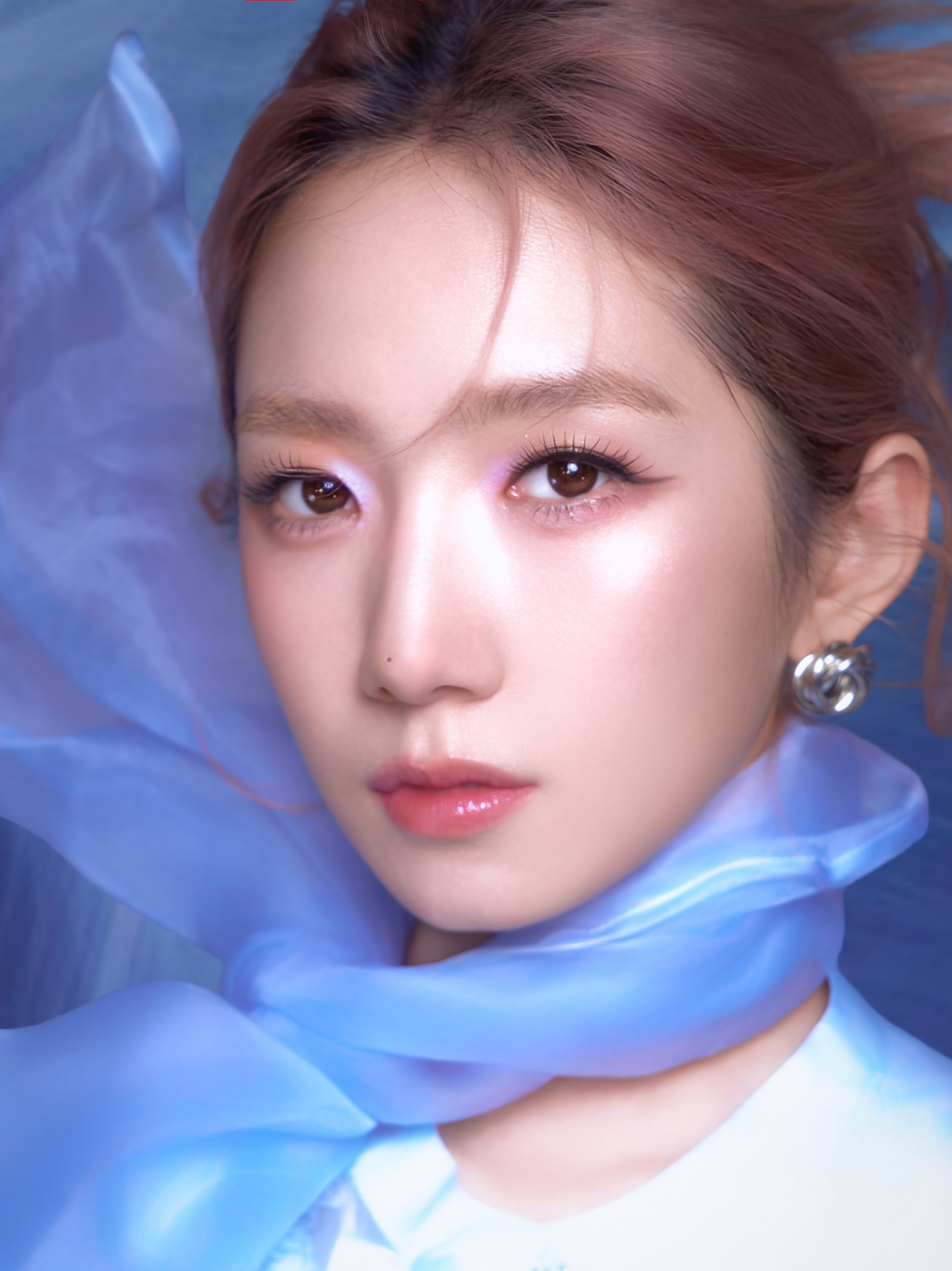  - Ảnh 1.