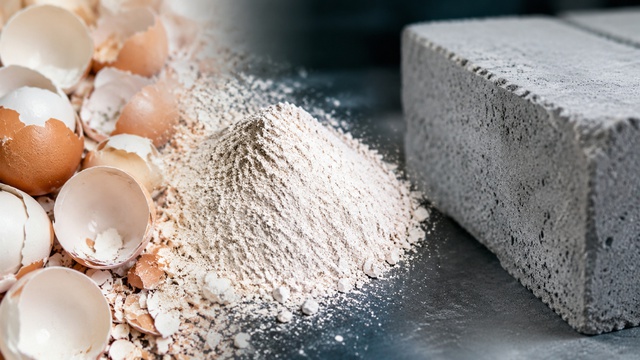 Phát hiện nhóm người có hành động kỳ lạ: Nghiền một loại 'rác' quen thuộc trong nhà bếp thành bột để trộn vào bê tông, mục tiêu phía sau mới đáng chú ý - Ảnh 1. Phát hiện nhóm người có hành động kỳ lạ: Nghiền một loại 'rác' quen thuộc trong nhà bếp thành bột để trộn vào bê tông, mục tiêu phía sau mới đáng chú ý - Ảnh 1.