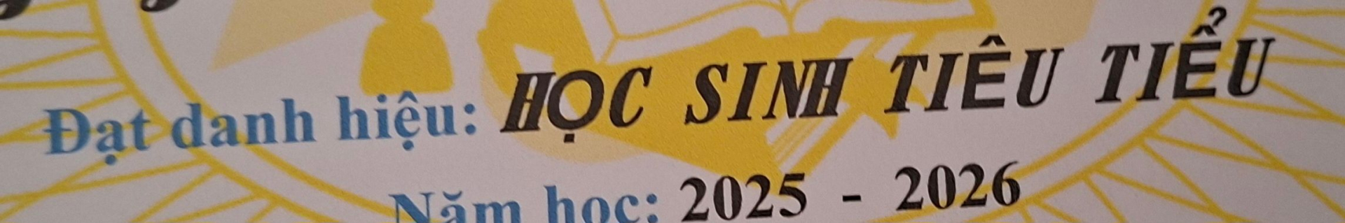 &ldquo;Học sinh xuất giỏi&rdquo;, &ldquo;Hiệu trưởng khen gợi..&rdquo; - dở kh&oacute;c dở cười với những tấm giấy khen nhận xong chỉ muốn&hellip; cất s&acirc;u v&ocirc; tủ - Ảnh 1.