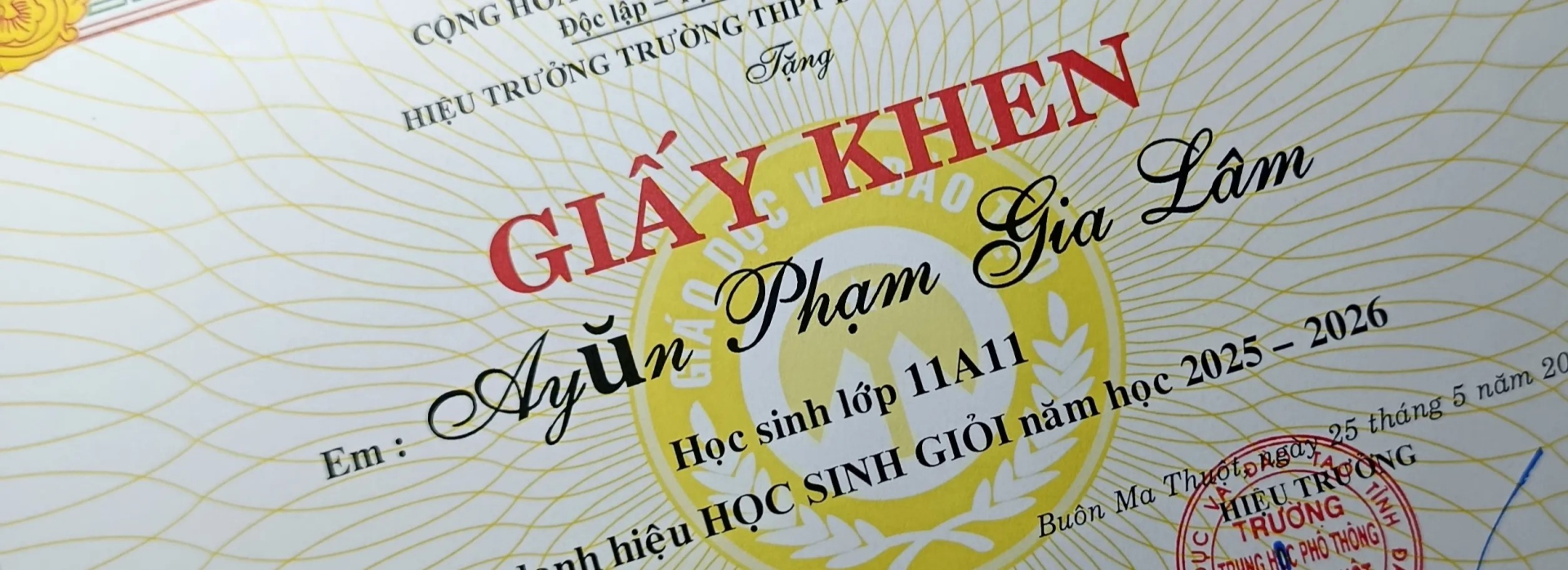 &ldquo;Học sinh xuất giỏi&rdquo;, &ldquo;Hiệu trưởng khen gợi..&rdquo; - dở kh&oacute;c dở cười với những tấm giấy khen nhận xong chỉ muốn&hellip; cất s&acirc;u v&ocirc; tủ - Ảnh 4.