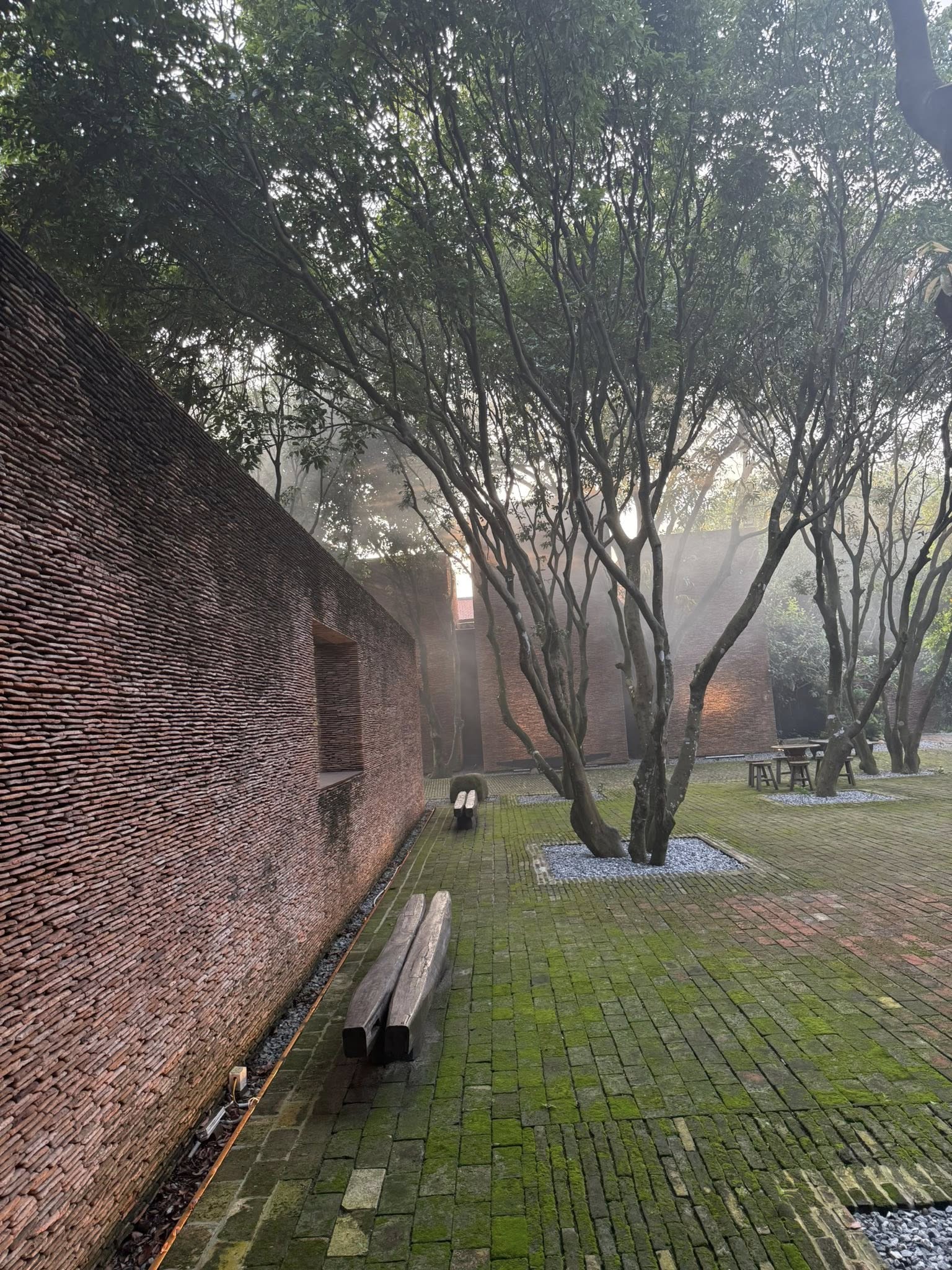 - Ảnh 7. - Ảnh 7.
