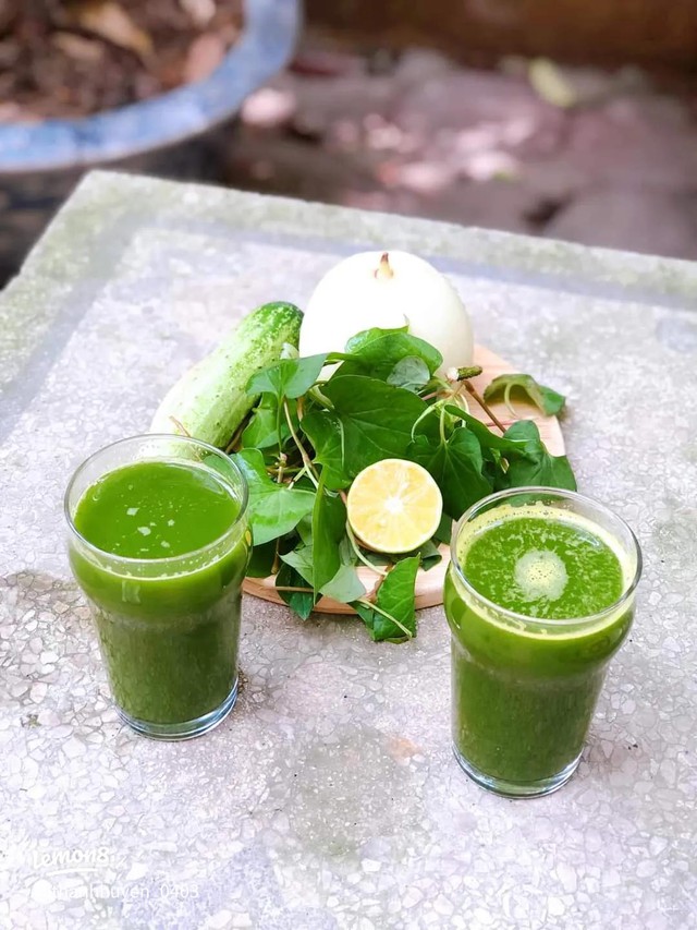 Việt Nam c&oacute; 1 loại l&aacute; l&agrave; "kem chống nắng tự nhi&ecirc;n", gi&uacute;p t&oacute;c đen v&agrave; mọc nhanh hơn, cực tốt sức khỏe nhưng nhiều người kh&ocirc;ng d&aacute;m d&ugrave;ng - Ảnh 3.