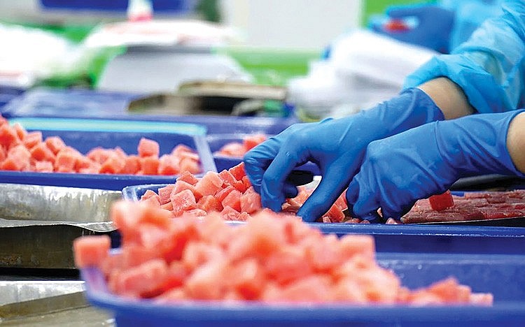 Việt Nam đón tin vui từ Ai Cập: Xuất khẩu cá ngừ tăng mạnh, mở thêm cơ hội cho doanh nghiệp - Ảnh 1.