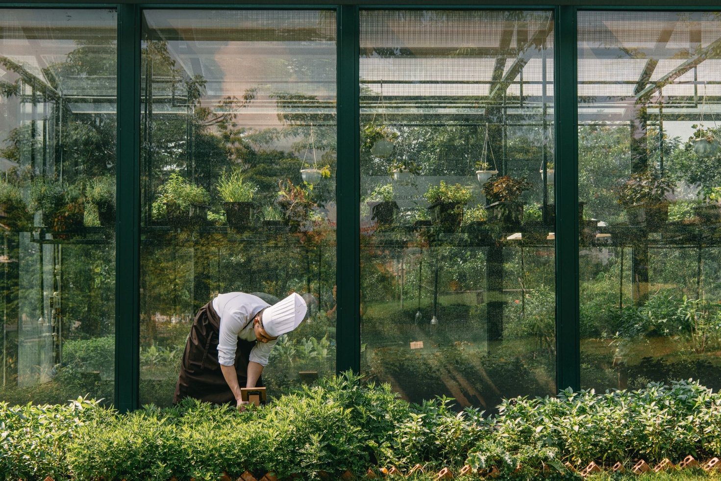 JW Marriott giới thiệu Garden Party &ndash; trải nghiệm tiệc vườn kết nối thi&ecirc;n nhi&ecirc;n &yacute; nghĩa - Ảnh 4.