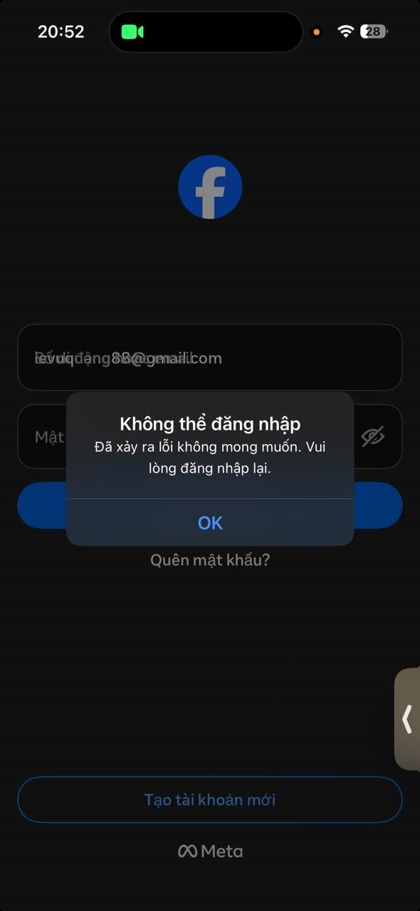  - Ảnh 3.