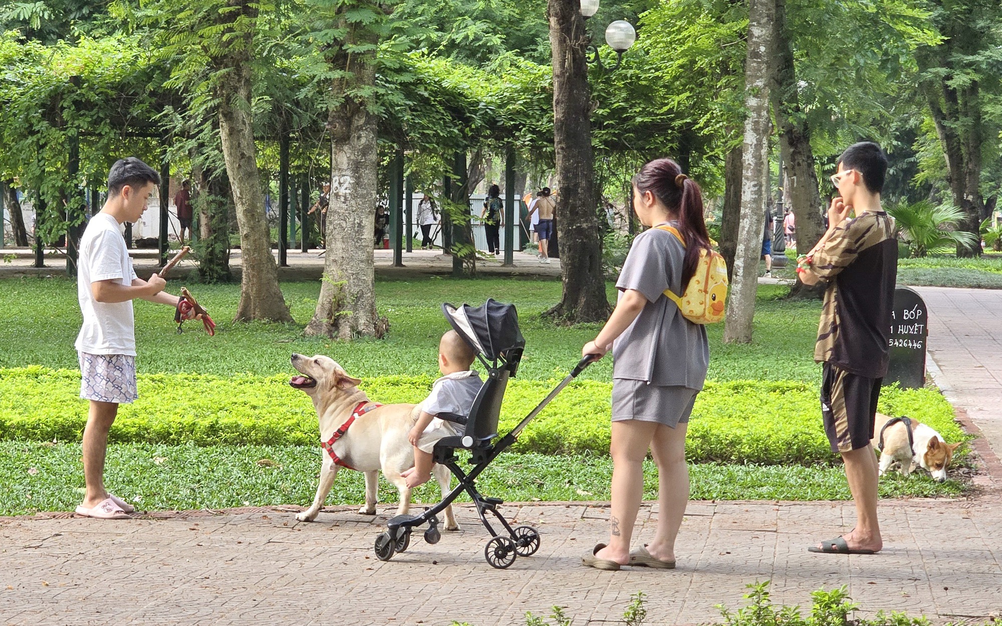 Nóng: Lật thuyền du lịch ở Cát Bà, xác định danh tính 1 phụ nữ tử vong - Ảnh 2.