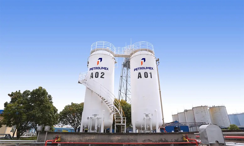 Xăng E10: Ai đang nắm 'át chủ bài' tại Việt Nam? - Ảnh 2.