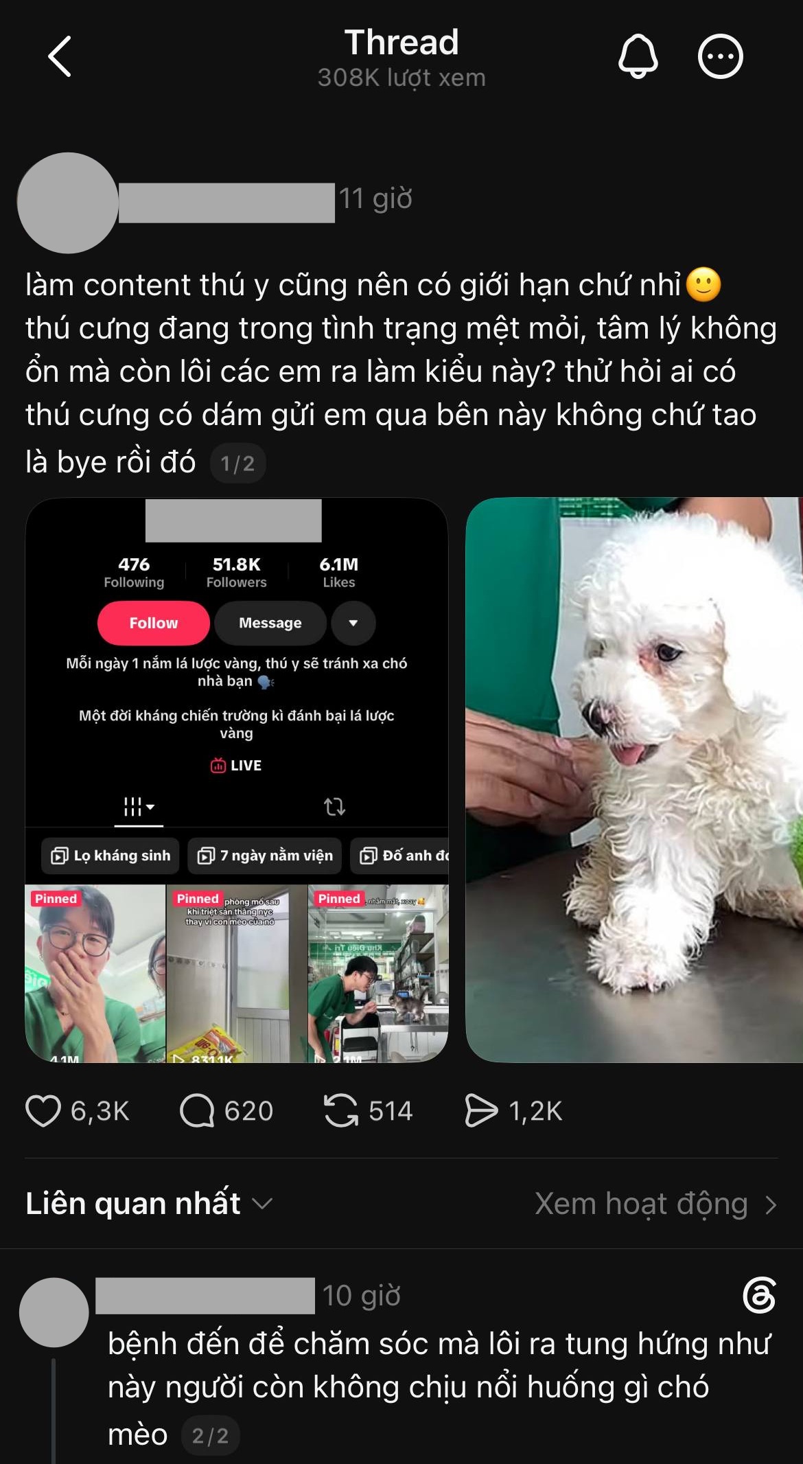  - Ảnh 1.