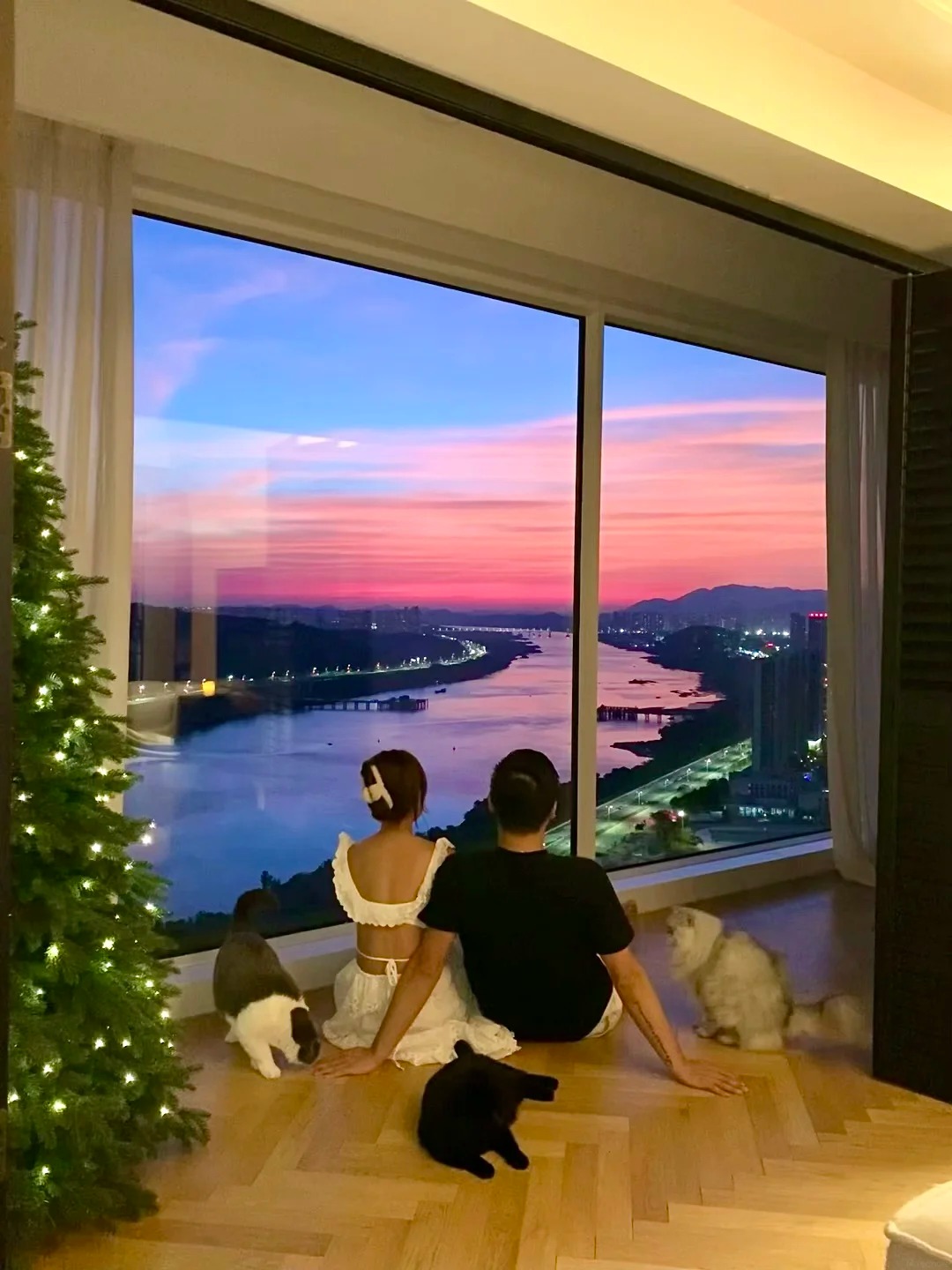 Cặp đôi xây nhà 9 tỷ giữa phố với cuộc sống không con và 4 chú mèo - Ảnh 12. Cặp đôi xây nhà 9 tỷ giữa phố với cuộc sống không con và 4 chú mèo - Ảnh 12.