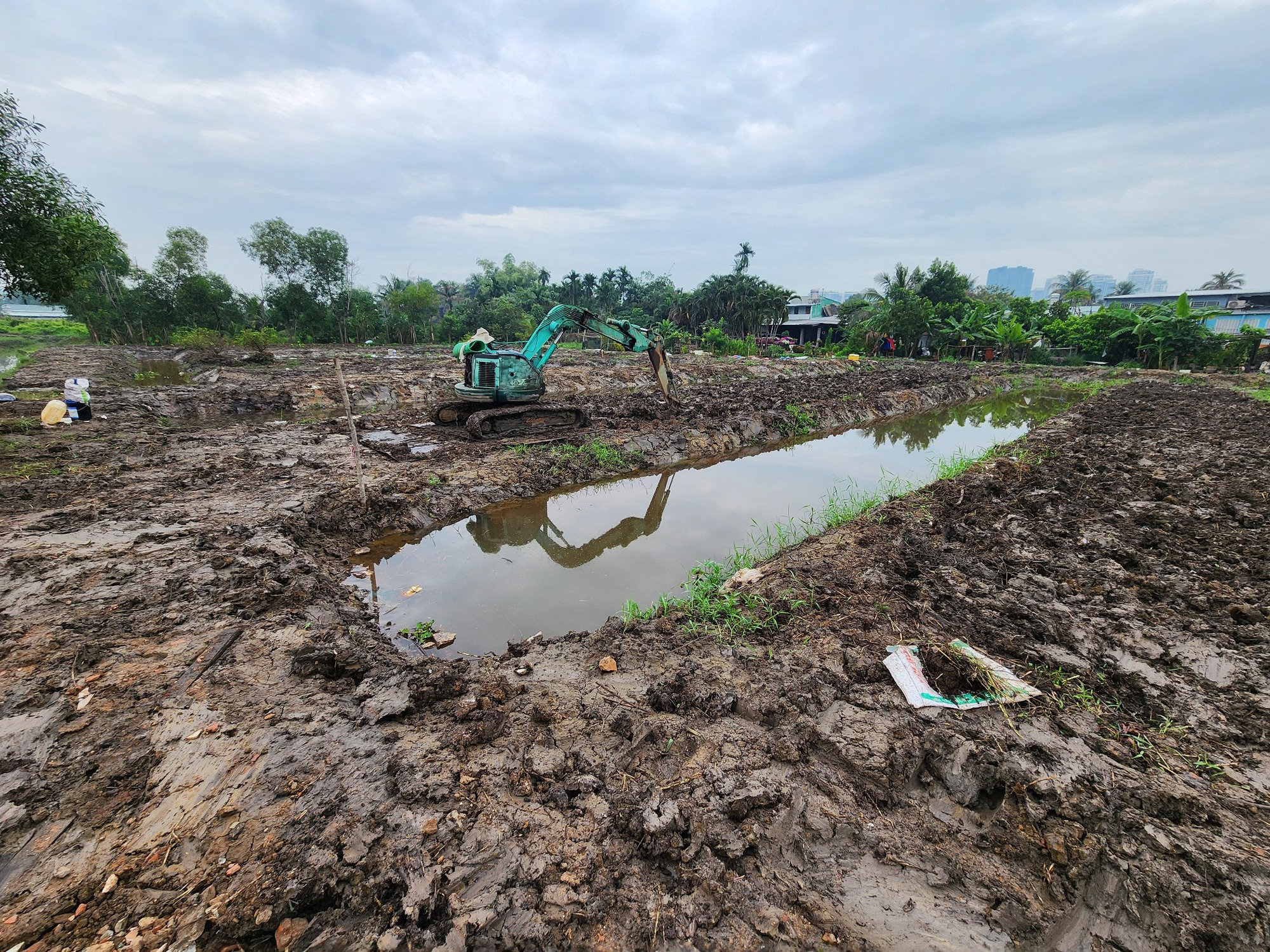 Từ đất phèn đến mô hình "Trên rau - Dưới cá" - Ảnh 2.