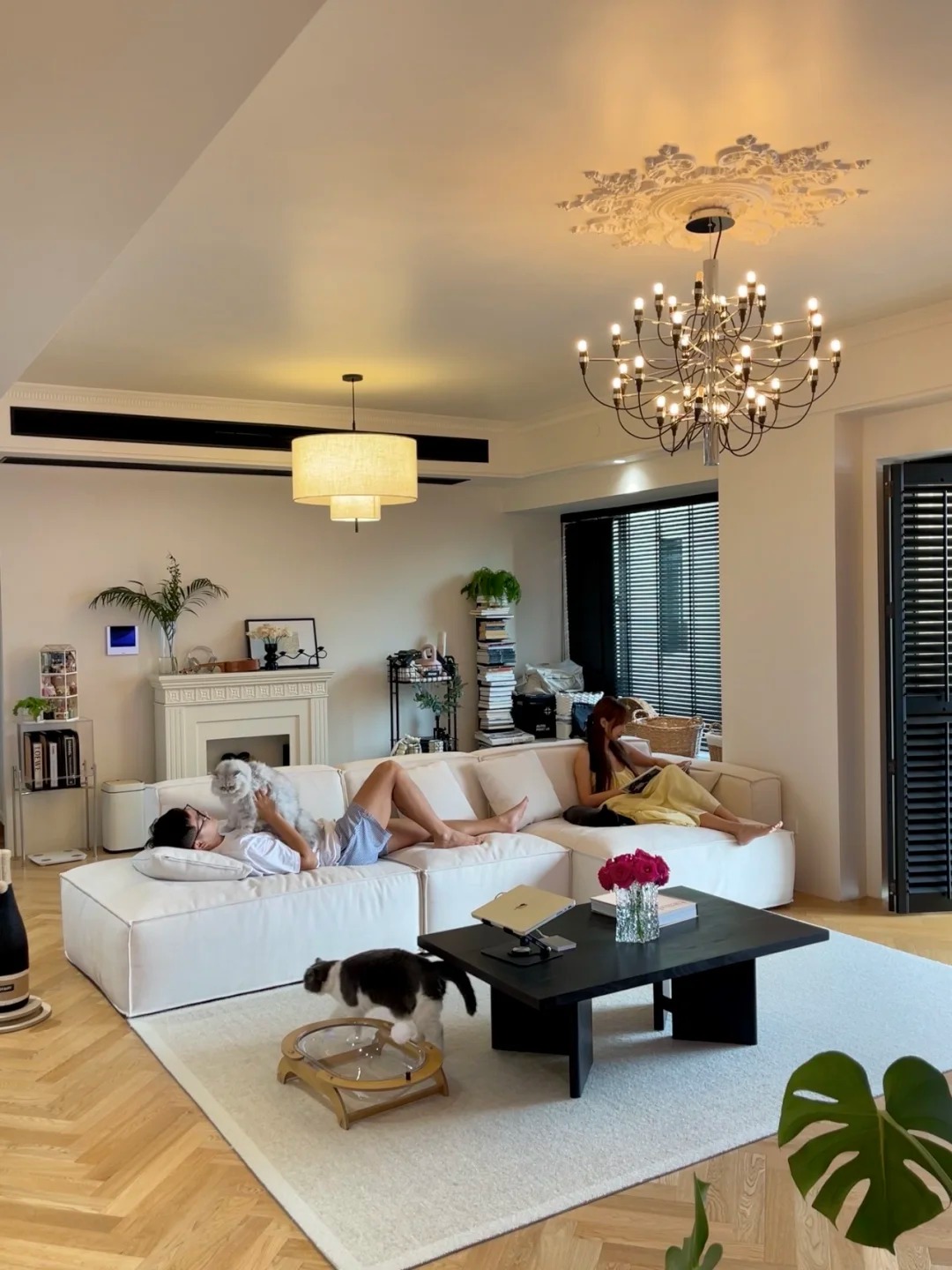Cặp đôi xây nhà 9 tỷ giữa phố với cuộc sống không con và 4 chú mèo - Ảnh 3. Cặp đôi xây nhà 9 tỷ giữa phố với cuộc sống không con và 4 chú mèo - Ảnh 3.
