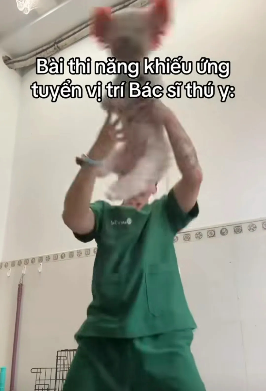  - Ảnh 2.