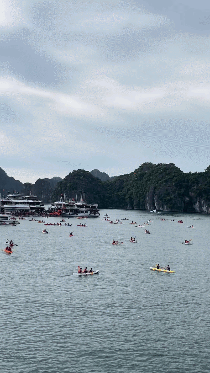 Cảnh tượng ở vịnh Lan Hạ, Cát Bà khiến nhiều người bất ngờ, thốt lên: Không tin vào mắt mình - Ảnh 1.