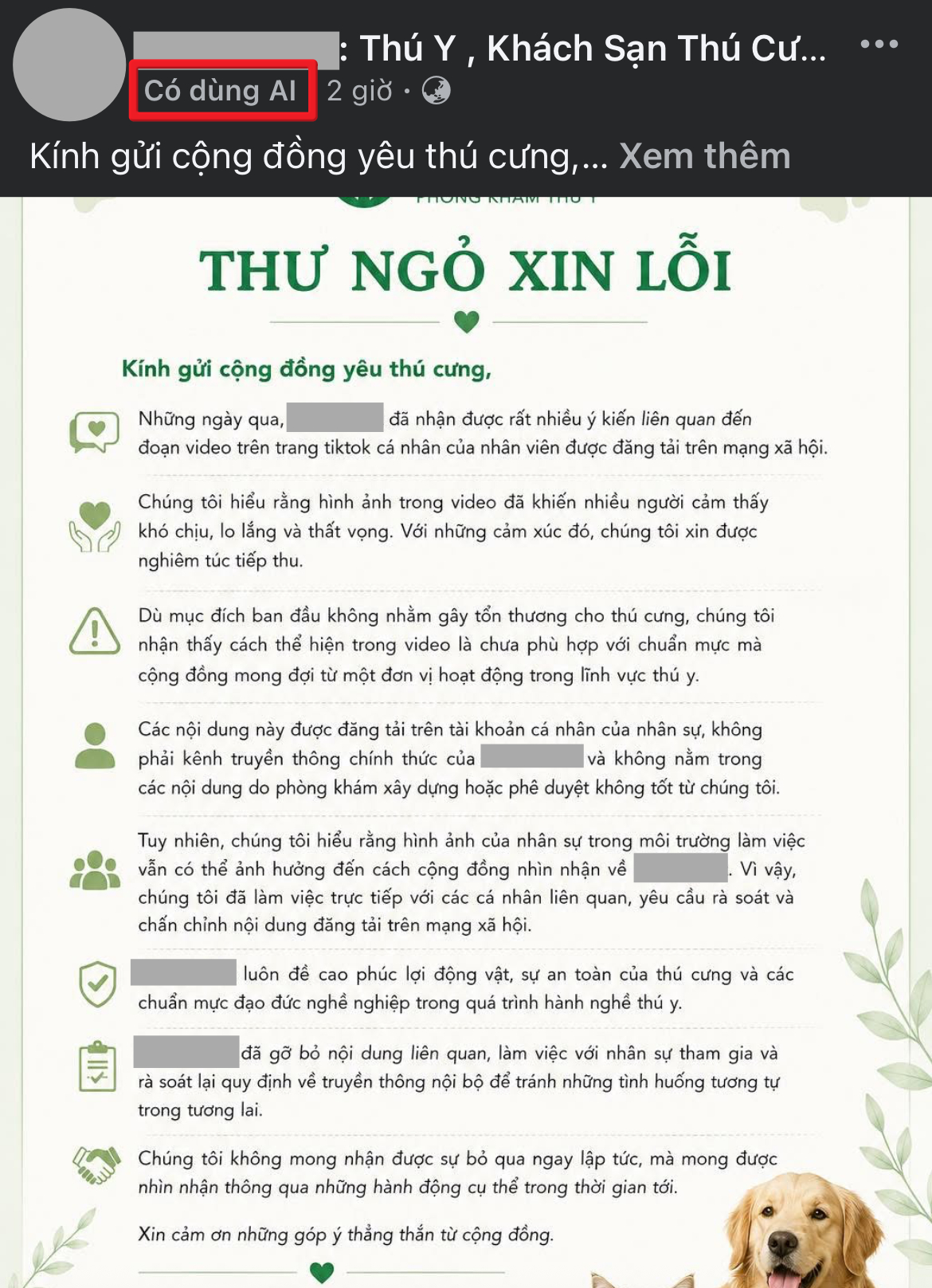  - Ảnh 5.