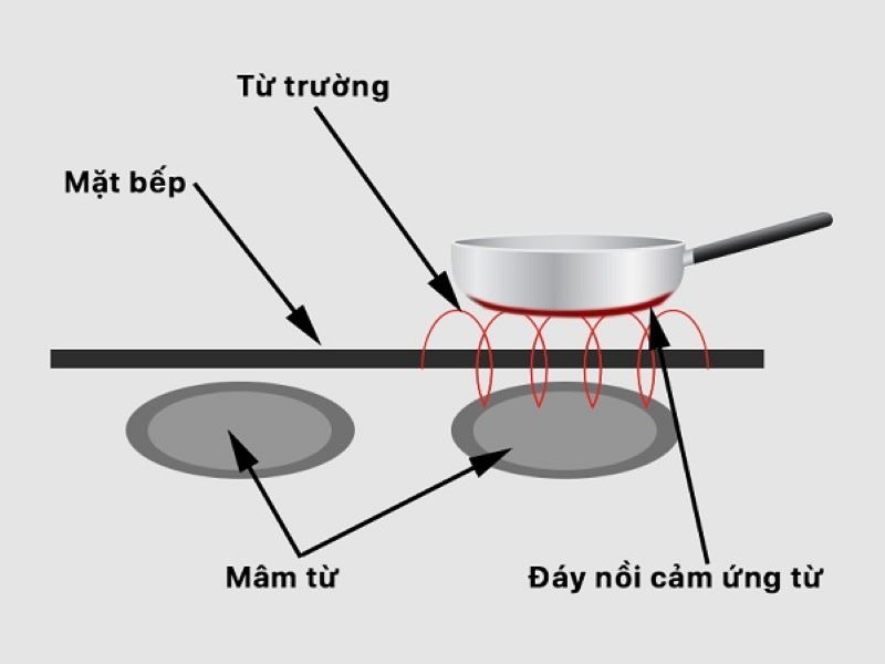  - Ảnh 2.