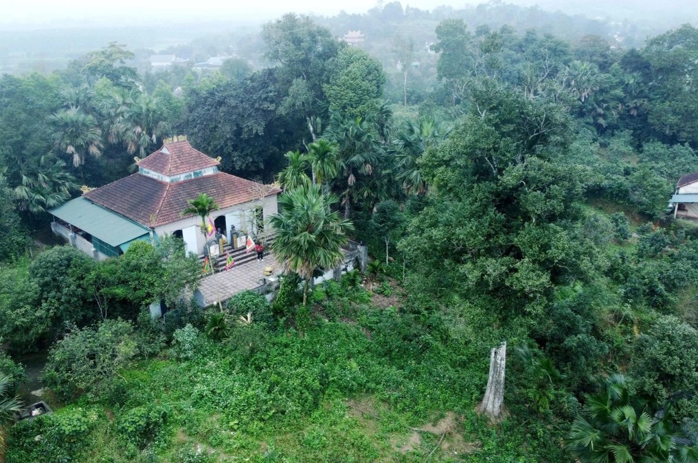 Hai cây gỗ quý hơn 200 tuổi ở Việt Nam: Được trả 100 tỷ vẫn không bán, cả làng thay nhau canh giữ - Ảnh 1.