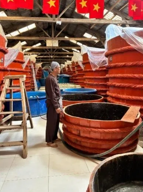 'Lộc biển màu bạch kim' của ngư dân Việt Nam: Nhỏ cỡ 7cm nhưng có thể 'dậy sóng' ngành xuất khẩu tỷ USD - Ảnh 2.