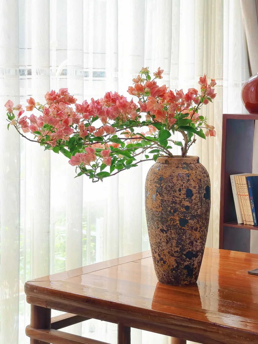 Lời khuy&ecirc;n hữu &iacute;ch cho người trồng hoa giấy bonsai trong nh&agrave; - Ảnh 2.