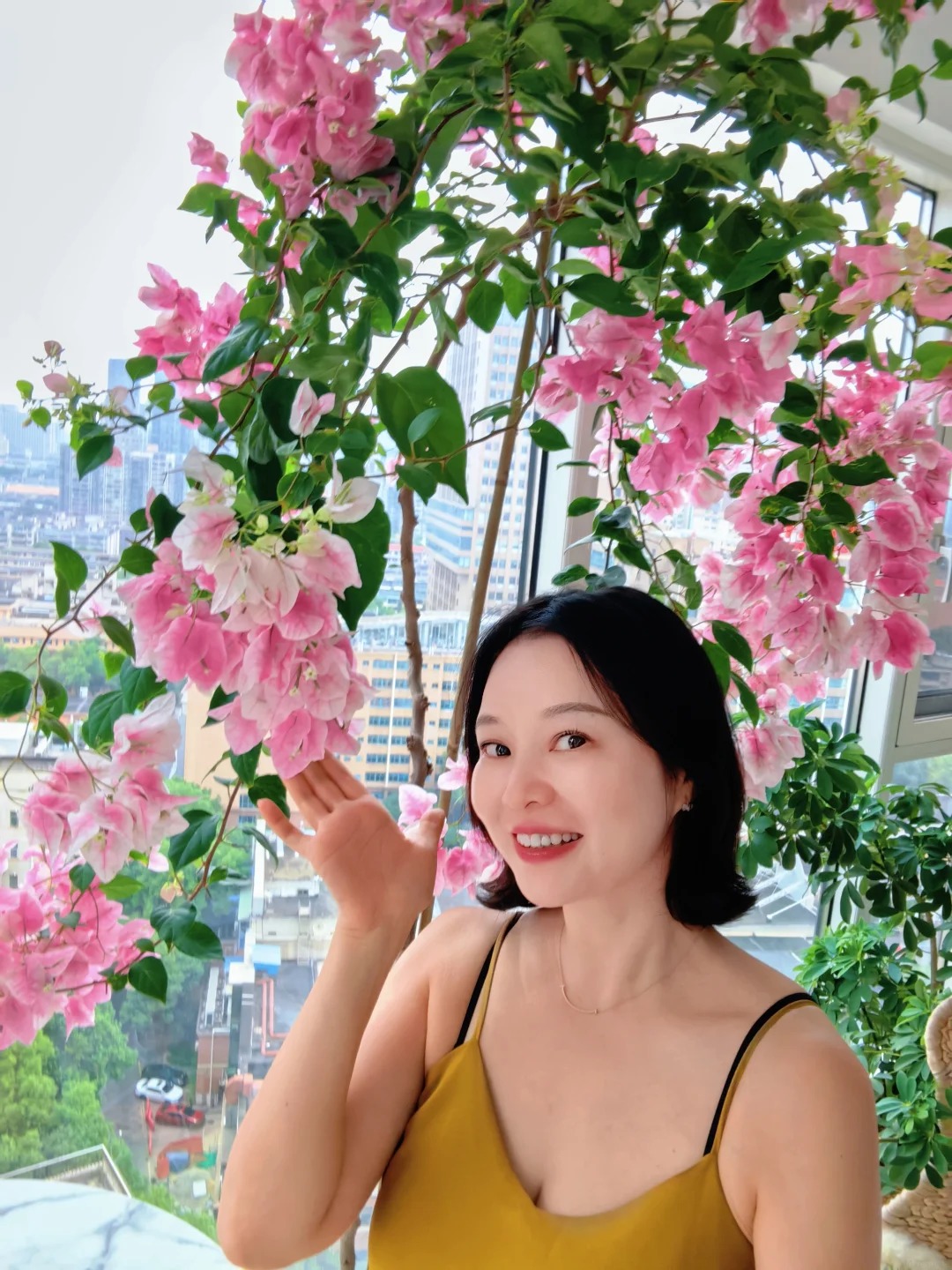 Lời khuy&ecirc;n hữu &iacute;ch cho người trồng hoa giấy bonsai trong nh&agrave; - Ảnh 1.