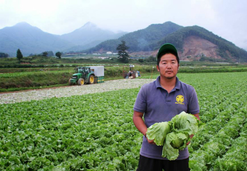N&ocirc;ng d&acirc;n tho&aacute;t ngh&egrave;o, kiếm hơn 5 tỷ đồng / năm nhờ trồng x&agrave; l&aacute;ch - Ảnh 2.