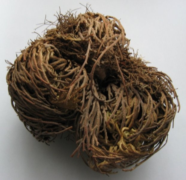  - Ảnh 3.