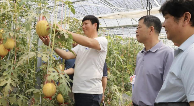Phát minh của Trung Quốc gây sốc ngành rau quả: Tạo ra ‘dưa hấu vũ trụ’ có hương vị sữa, chocolate, thu về hơn 30.000 đơn đặt hàng - Ảnh 1.
